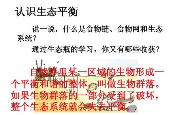 1982水命人的缺失与修复：如何找到内心的平衡与和谐