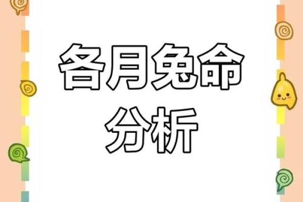 兔年子时的桃花命:爱情与运势的神奇交织 兔年子时的桃花命:爱情与运势的神奇交织