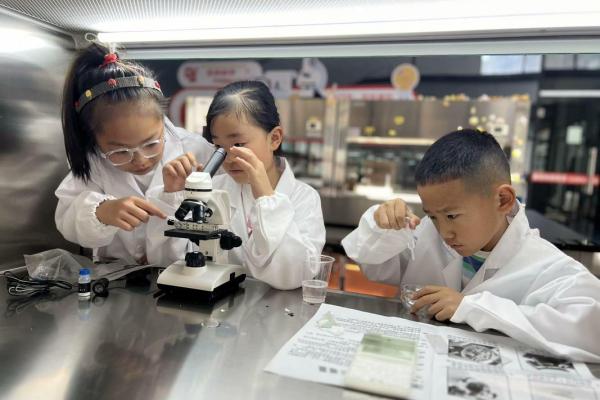 2012年木命之月：揭开神秘命理的面纱，探索生命的奥秘！