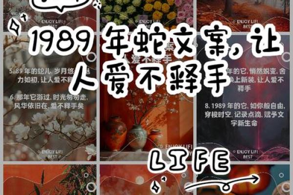 1977年属蛇人的命理解析与人生智慧