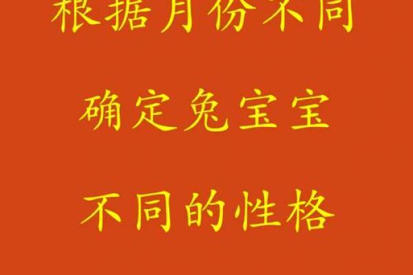 2001年兔年出生的命运与人生解析