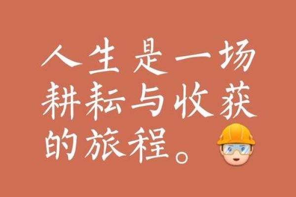 1994年属狗土命：揭示命运背后的性格与人生旅程
