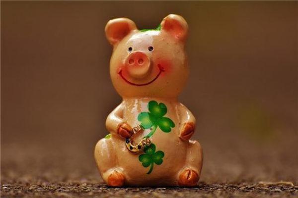 2031年：变革之年，猪命如何逆袭人生？