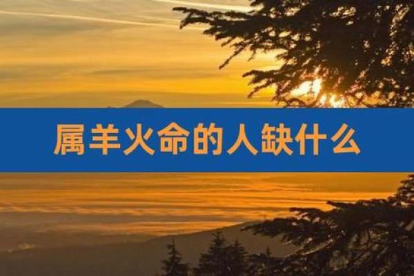 1991年属羊的火命解析：如何把握火羊的精彩人生？