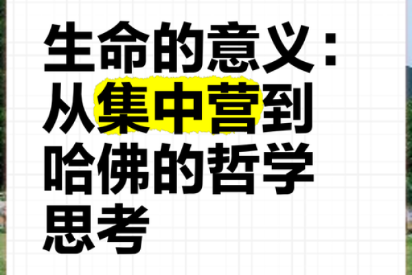 探索“命”的微妙哲学：我们究竟该如何理解生命的意义？
