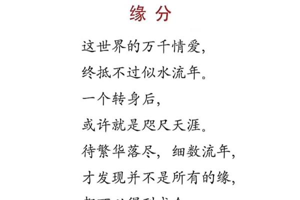 探寻命运的话语：从《看你今生什么命》说起