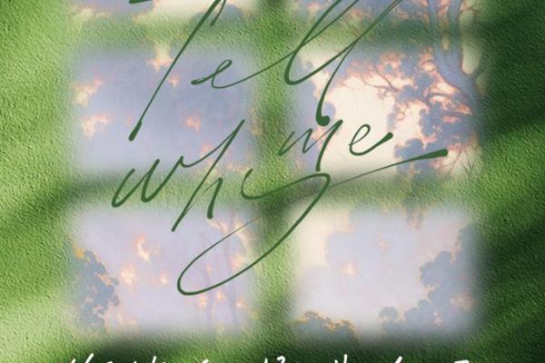 命格中的红鸾星：爱情的象征与人生的启迪