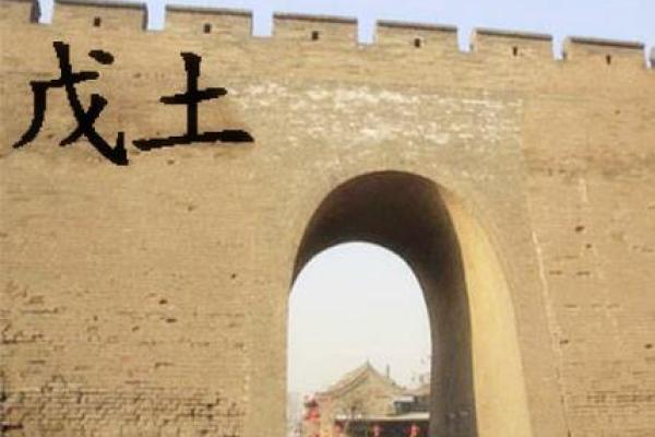 戊年卯时出生的人命运解析：八字中的神秘之旅