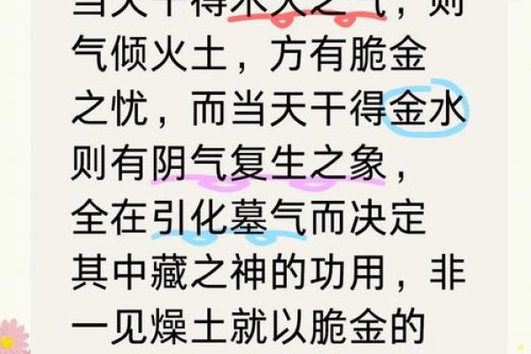 探讨木命与土命的职业选择及其适合的生活方式