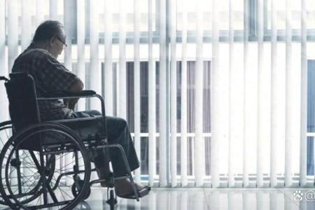 保姆命：生活中的坚持与奉献，背后的深刻含义