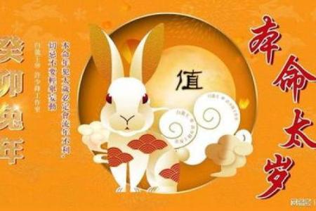2023年属兔之人：命运解析与生肖运势展望