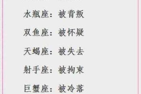揭秘2004年12月2日出生的命运与性格特征
