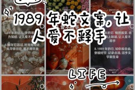 1977年属蛇人的命理解析与人生智慧