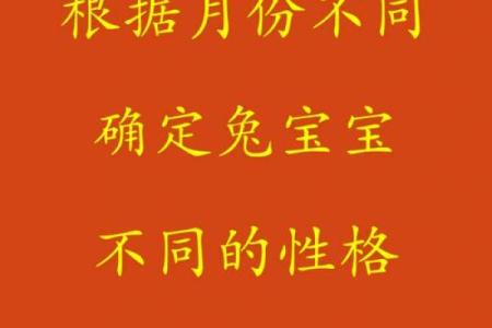 2001年兔年出生的命运与人生解析