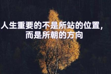 1994年属狗土命：揭示命运背后的性格与人生旅程