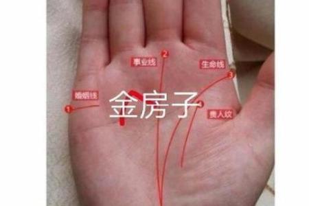 富贵命运的人是什么命？解析命运与财富的关系