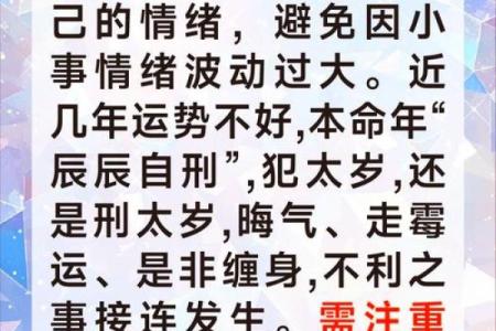 龙年出生的命格解析：揭开命运背后的神秘面纱