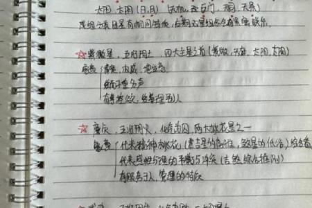 左眼命理的奥秘：揭示你的数字密码与命运之轮