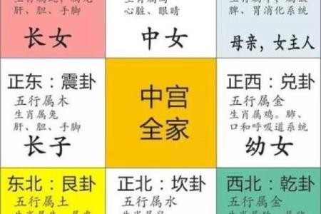 探寻石榴木命的灵性：配带什么能助你提升运势？