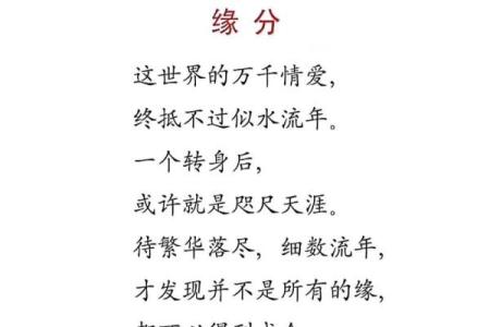 探寻命运的话语：从《看你今生什么命》说起