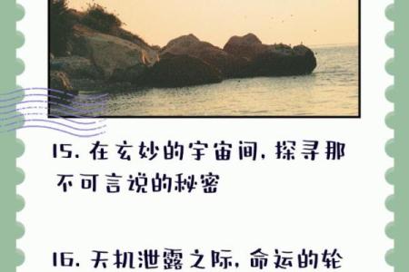 字的命运：每个汉字背后的故事与秘密