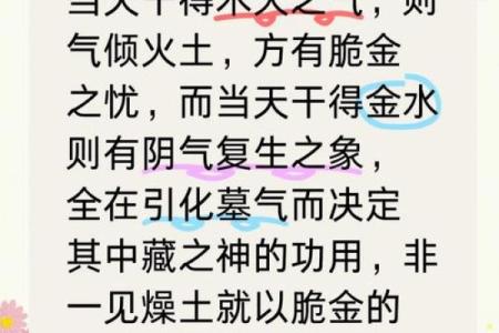 探讨木命与土命的职业选择及其适合的生活方式