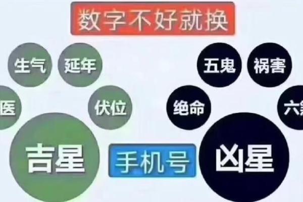 揭开五运命格的神秘面纱，探寻人生运势秘密！