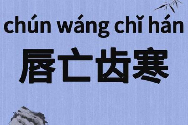 携手便巧，命运相连：成语背后的故事与智慧