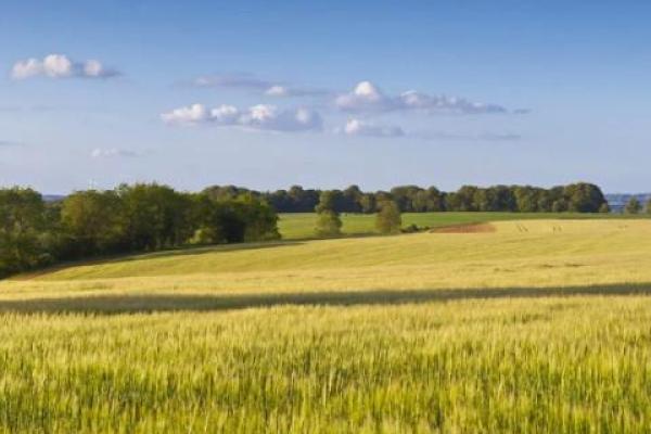 土命人该和什么命人最合适，婚姻幸福有门道！