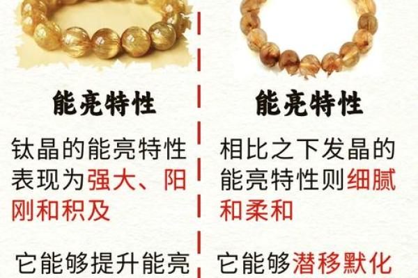 土命龙适合的摆件：提升能量与气场的法宝