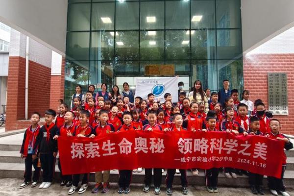 天上火命78：探索生命的独特缺失与心灵的成长之路