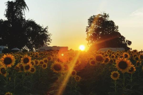 2016年属火命，如何在生活中焕发出属于自己的光彩？