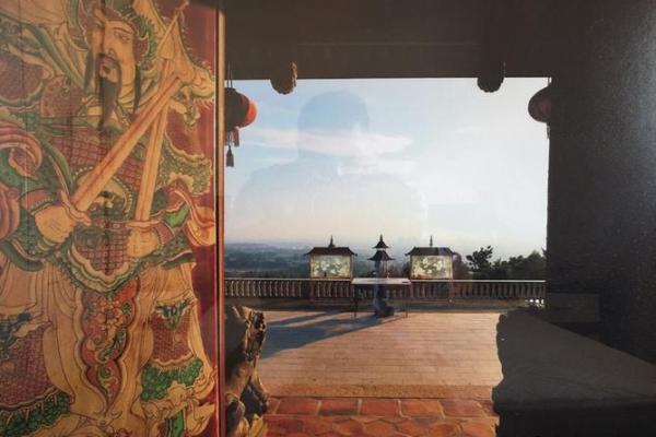 1981属金之命：金属之辉映，如何智慧运筹人生？