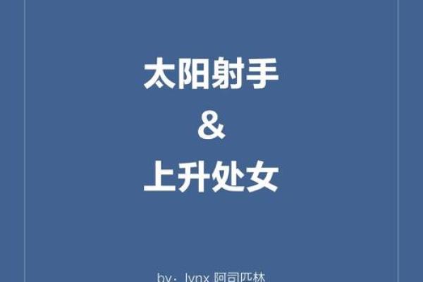 小射手心碎命:小白羊逆风而行的生命之旅 小射手心碎命:小白羊逆风而行的生命之旅
