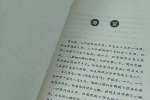 1997年出生的兔子命运解析：财富、感情与人生的奥秘