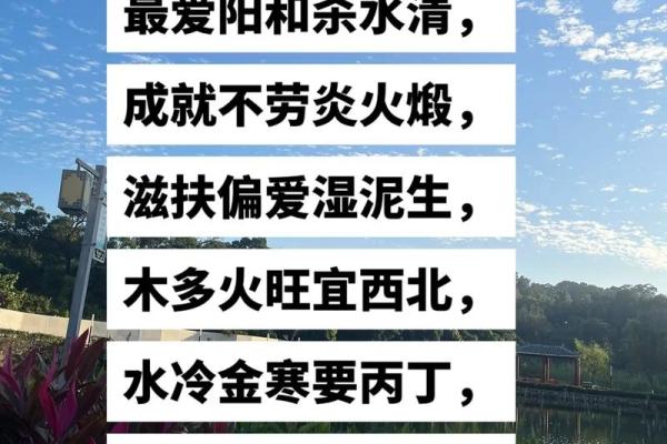 火土命与金水命的深度解析：命理的奇妙世界