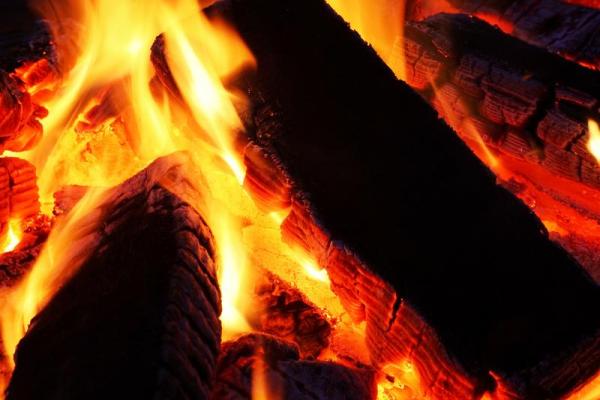 为什么火命和木命人能相互成就，关系最好？探秘五行相生的奥秘