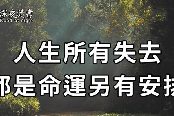 周公解梦：鼻梁低的命运解析与人生启示