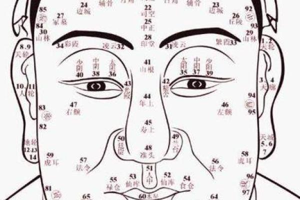 揭秘富商命理:从面相看你的财富运势 揭秘富商命理:从面相看你的财富运势