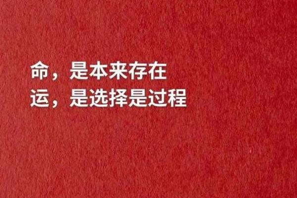 信命与不信命:人生的选择与思考 信命与不信命:人生的选择与思考