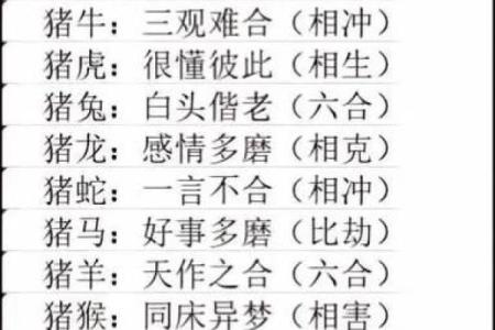 1988年生肖命运冲突与和谐之道的探索