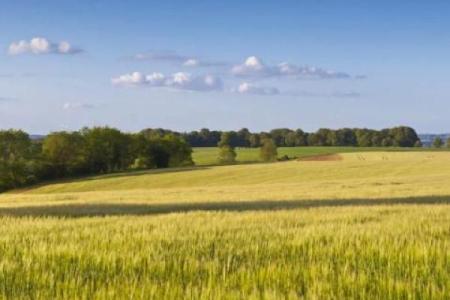 土命人该和什么命人最合适，婚姻幸福有门道！