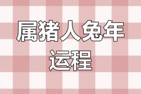 2011年兔年命理解析：探寻兔年出生者的性格与运势