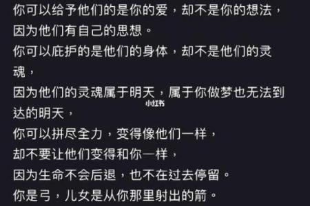 2006年出生的人命运解析：寻寻觅觅中的生命之路