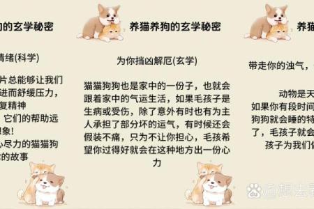 命理与动物相克相冲，探秘人与自然的深层关系