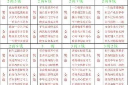 揭示你的命运：用命理算算你的未来与性格