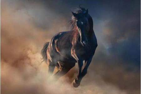 马年出生的孩子命运解析：性格与未来的精彩旅程