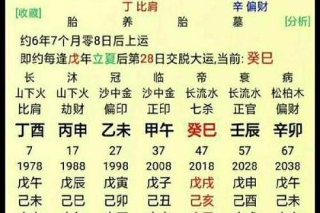 2000年土命人的特点与运势解析