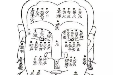 从面相看：哪些特征的男士最具富贵命？