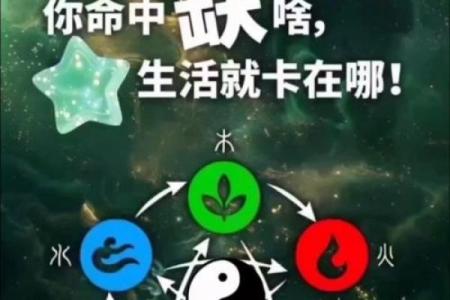 命理学的基石：阴阳五行与命运的奥秘探索